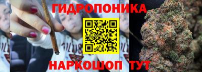 мдпв Тверь