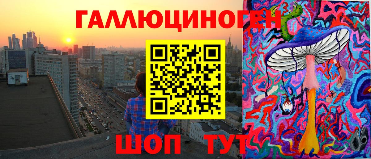 Галлюциногенные грибы Psilocybe Полысаево